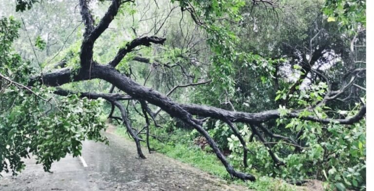 बारिश के बीच मैदान में उतरे एसडीएम प्रभात सिंह, गांव-गांव पहुंचकर लिया जायजा