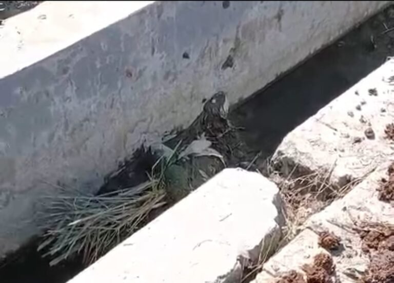 नई नाली पर उठे सवाल, जांच के बाद कार्रवाई का भरोसा —— नाथनगर में निर्माण की गुणवत्ता को लेकर ग्रामीणों ने जताई नाराजगी, तकनीकी जांच कराकर